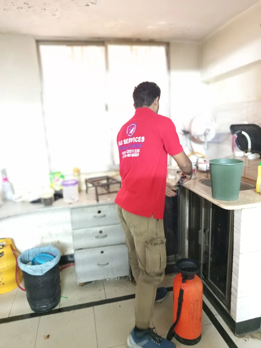 Kitchen service visit — Rana Jee’s service team